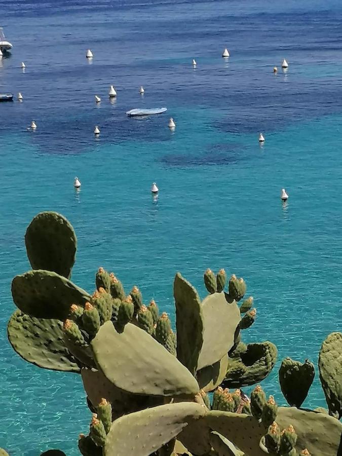Casa Vacanza Tra Cielo E Mare Custonaci Eksteriør billede
